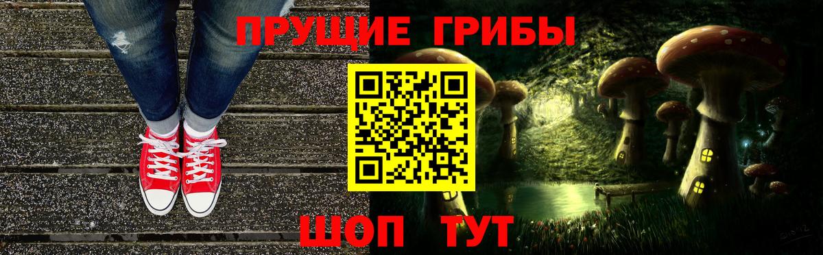 Галлюциногенные грибы GOLDEN TEACHER  Вход с VPN  Кумертау 