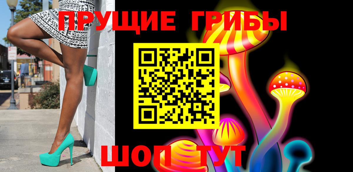 Галлюциногенные грибы Psilocybe  Кумертау 