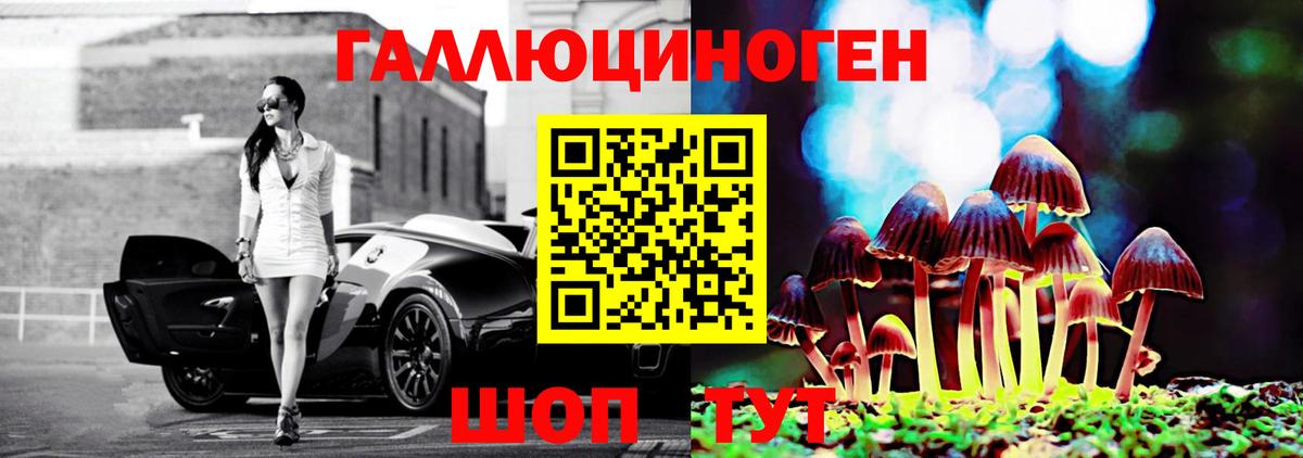 Псилоцибиновые грибы Cubensis Кумертау