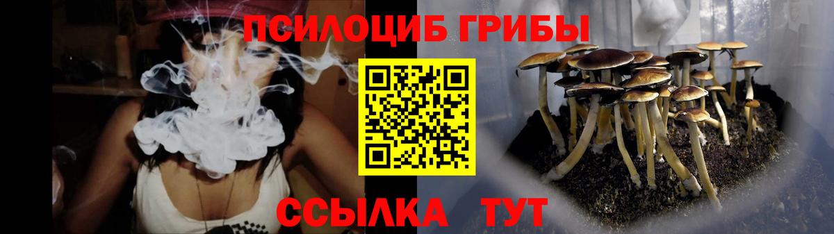 Галлюциногенные грибы Cubensis Кумертау